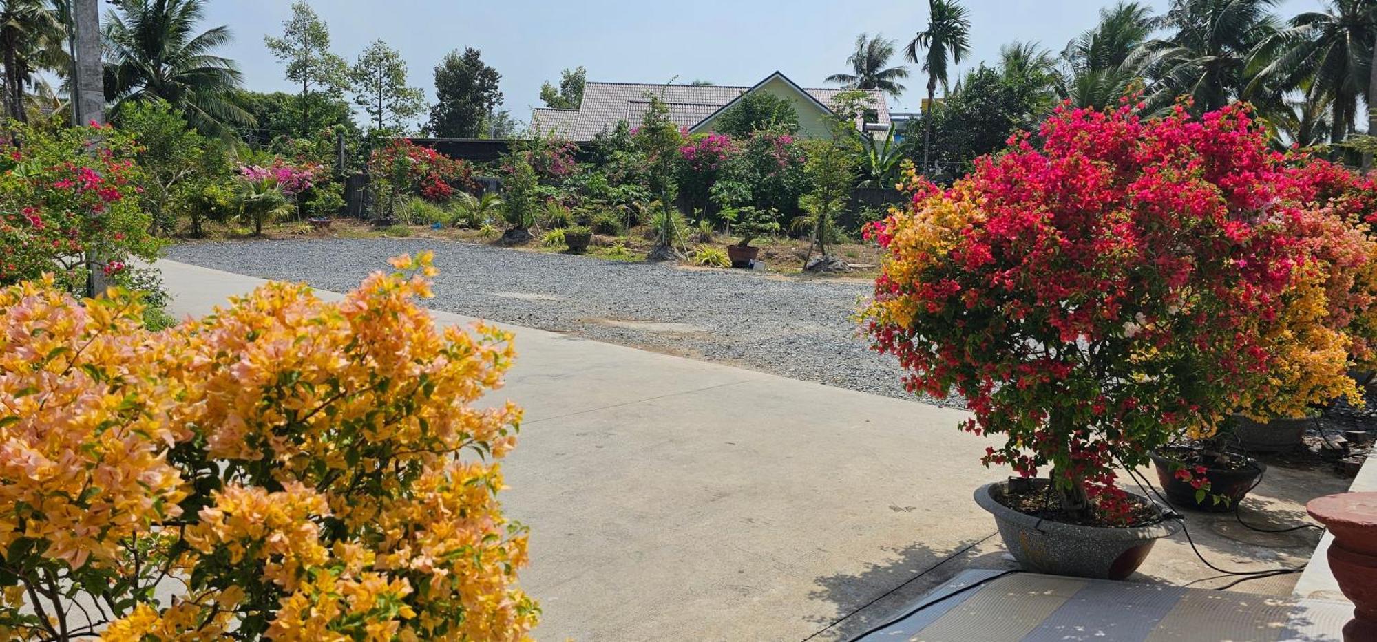 Nha Nghi Truc May Ben Tre Exteriör bild