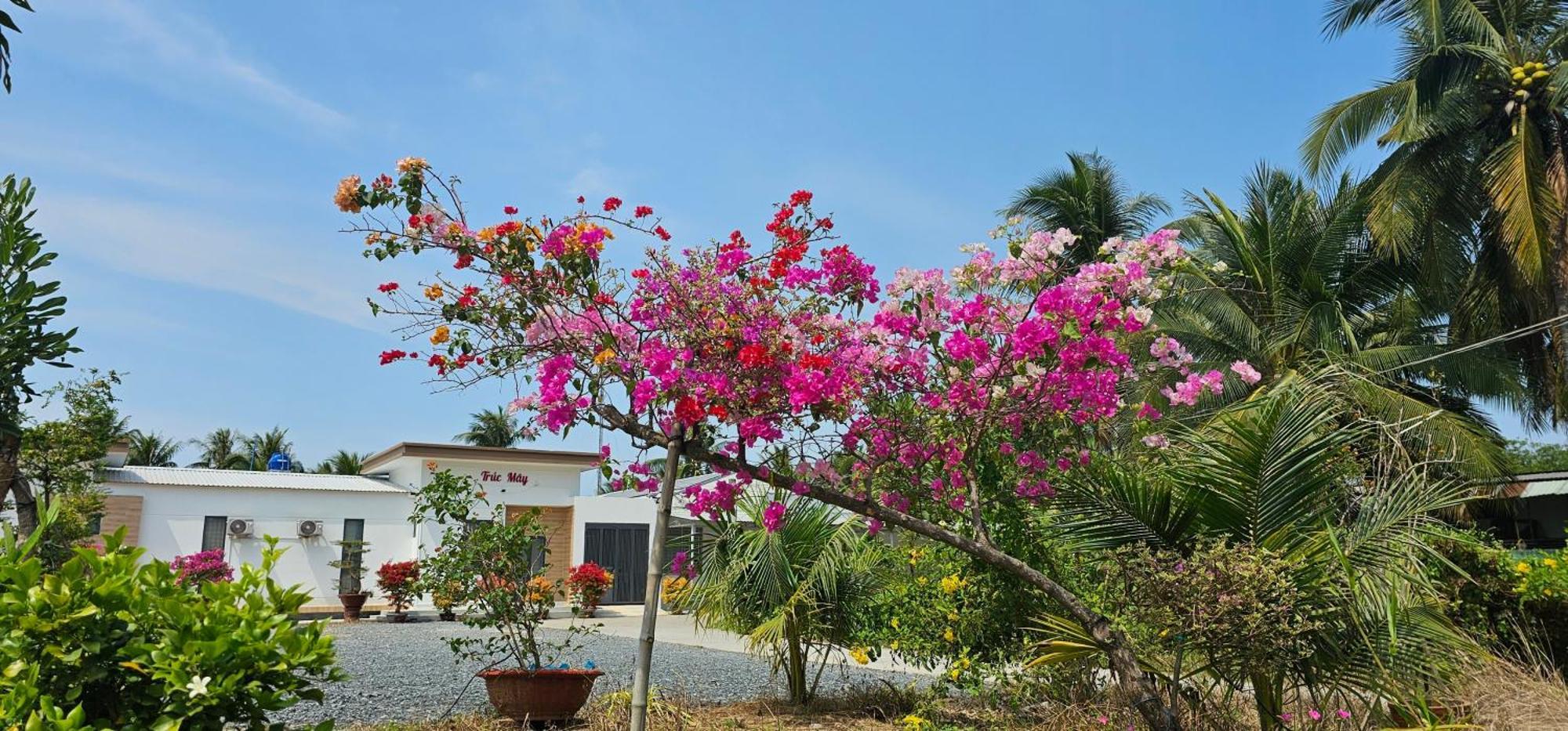 Nha Nghi Truc May Ben Tre Exteriör bild